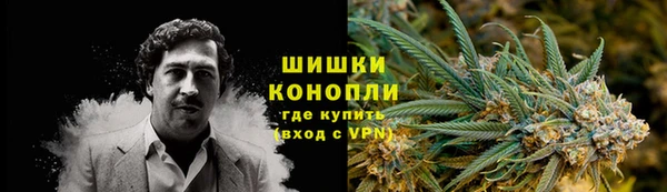 гашик Вязьма