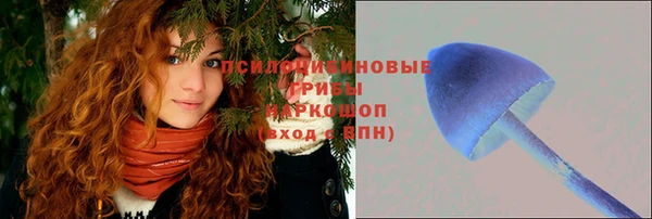 гашик Вязьма