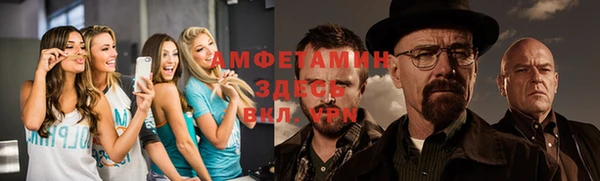 прущая мука Вяземский