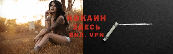 гашик Вязьма
