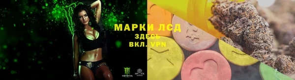 прущая мука Вяземский
