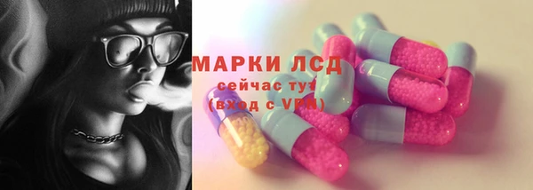 гашик Вязьма