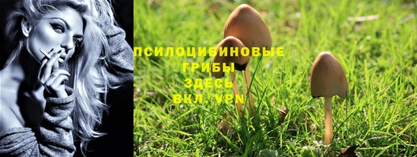 герыч Вязники