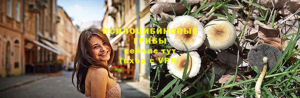 прущая мука Вяземский