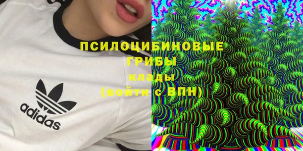 прущая мука Вяземский