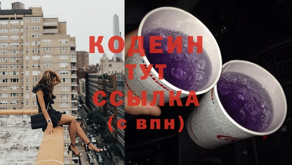 прущая мука Вяземский