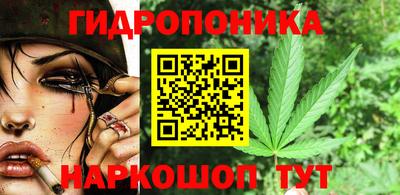мдпв Аша