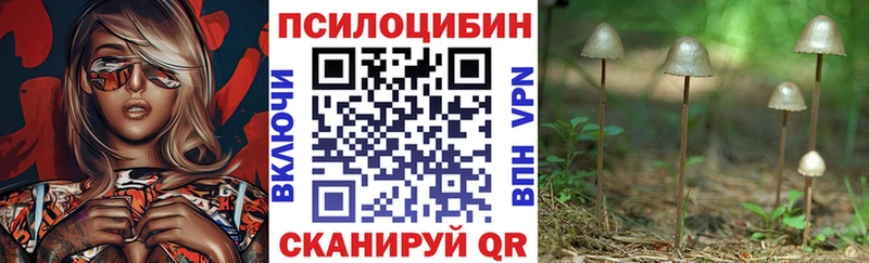 Псилоцибиновые грибы Psilocybe  купить  цена  Мценск 