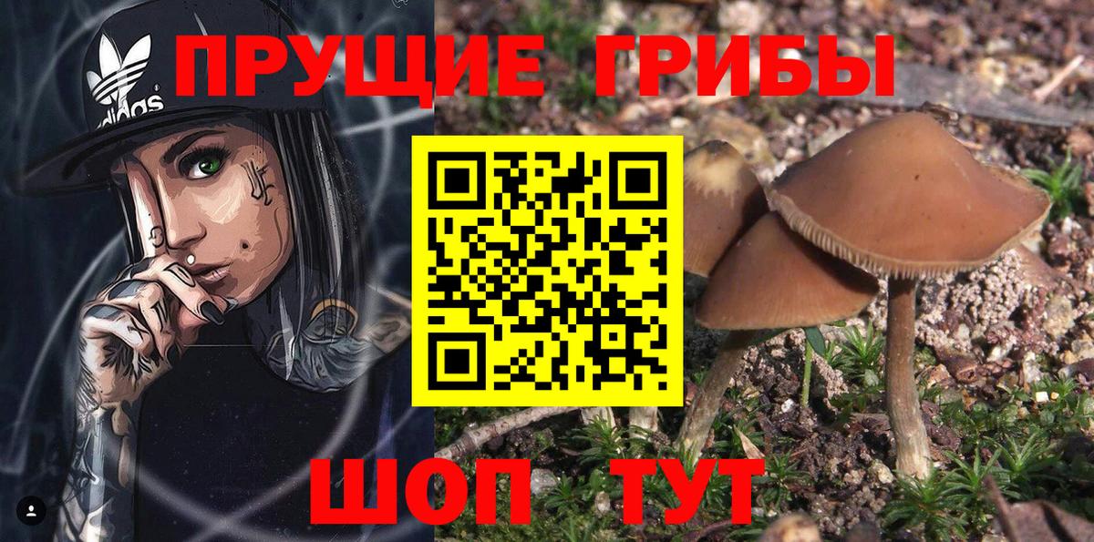 Галлюциногенные грибы прущие грибы  Вход с VPN  Мценск 